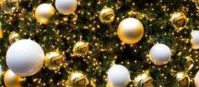Schoolkinderen zorgen voor versierde kerstbomen